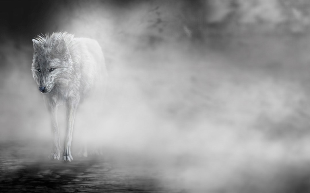Cry-Wolf